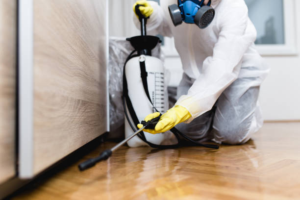 Wasp Removal Services in Central Gardens, TX