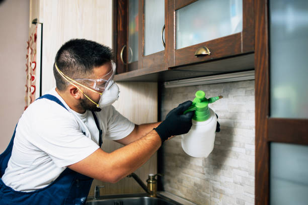 Best Pest Prevention Services  in Central Gardens, TX