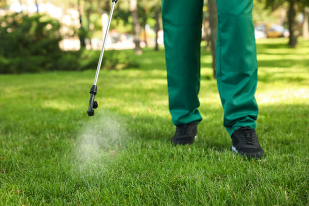 Best Affordable Pest Control Services  in Central Gardens, TX