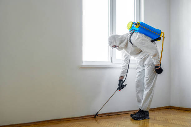Best Cockroach Control Services  in Central Gardens, TX