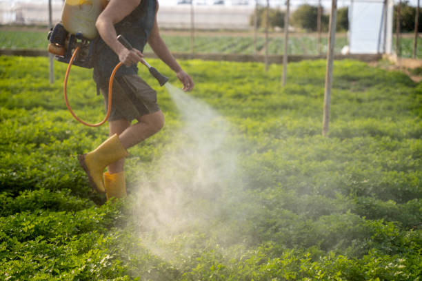 Best Mosquito Control Services  in Central Gardens, TX