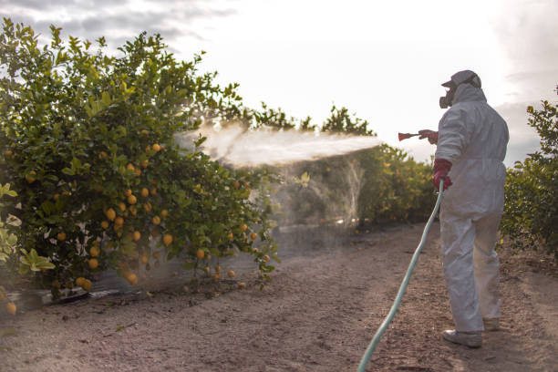 Best Best Pest Control Companies  in Central Gardens, TX