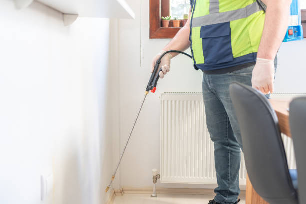 Best Ant Control Services  in Central Gardens, TX