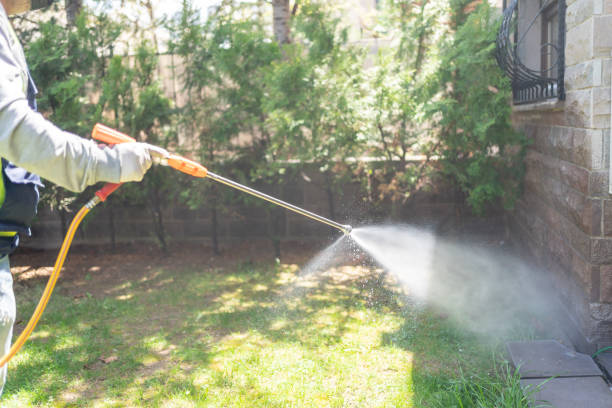 Best Cockroach Control Services  in Central Gardens, TX
