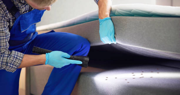 Pest Prevention Services in Central Gardens, TX