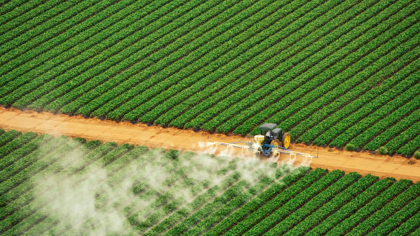 Professional Pest Control in Central Gardens, TX