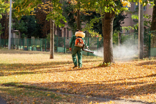 Best Pest Inspection Near Me  in Central Gardens, TX