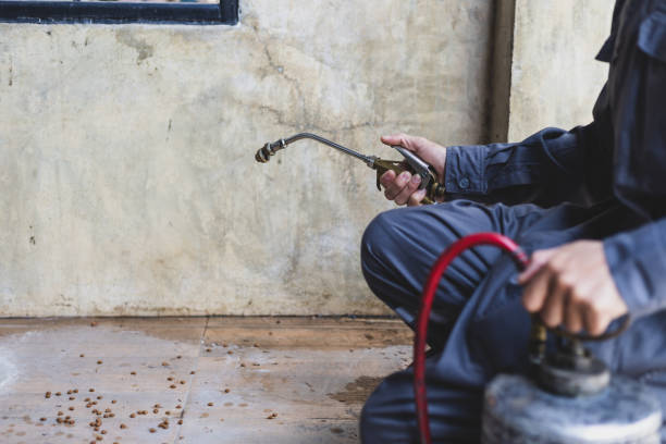 Best Affordable Pest Control Services  in Central Gardens, TX