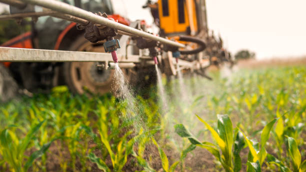 Best Best Pest Control Companies  in Central Gardens, TX