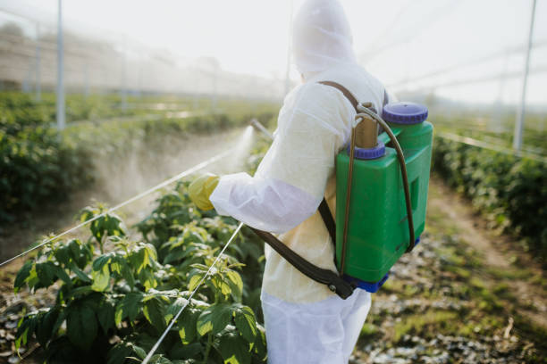 Best Best Pest Control Companies  in Central Gardens, TX